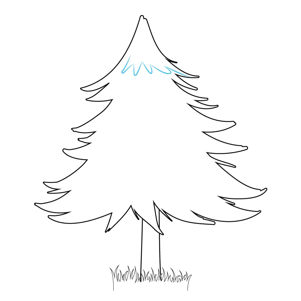 How to Draw A Pine Tree Step by Step Step  7