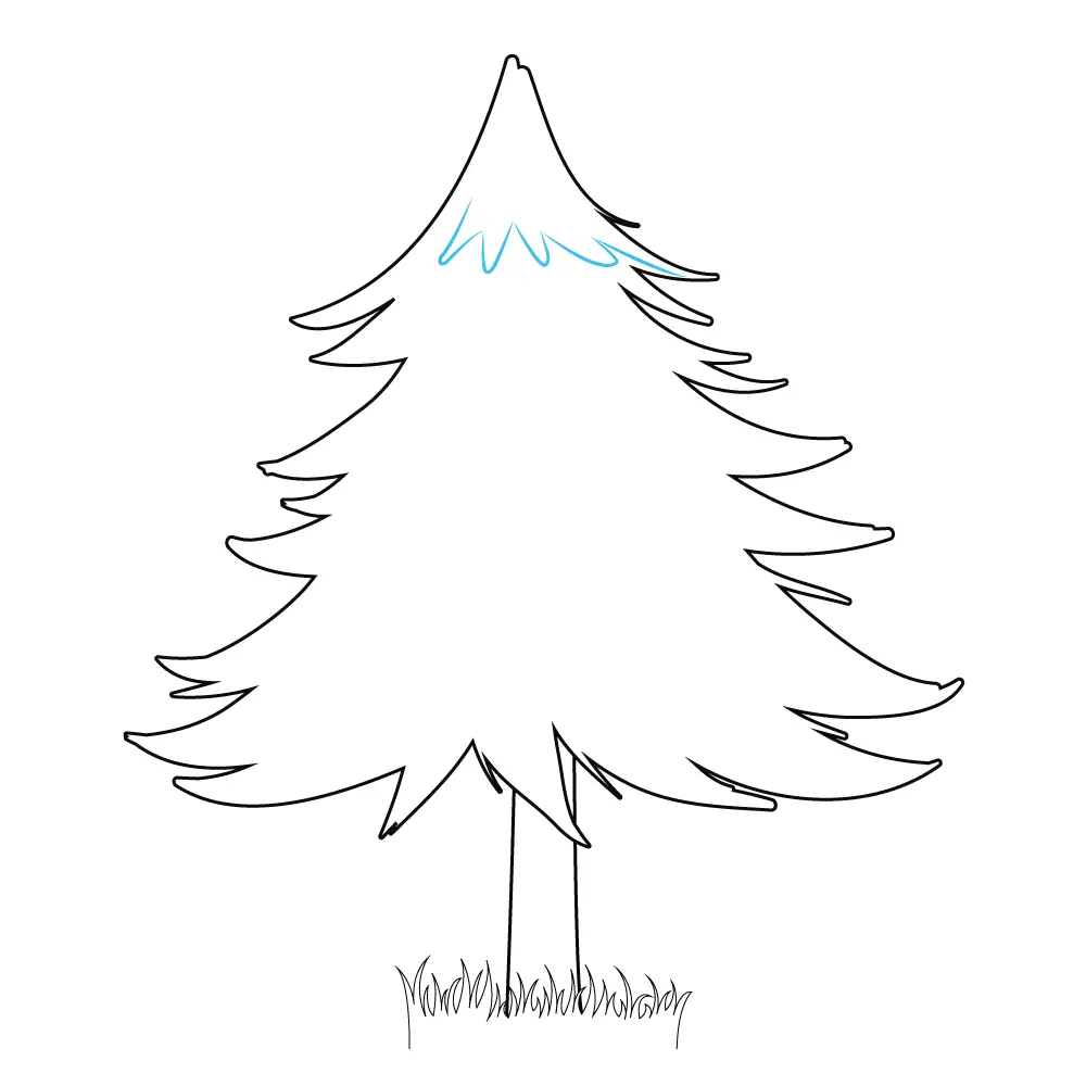 How to Draw A Pine Tree Step by Step