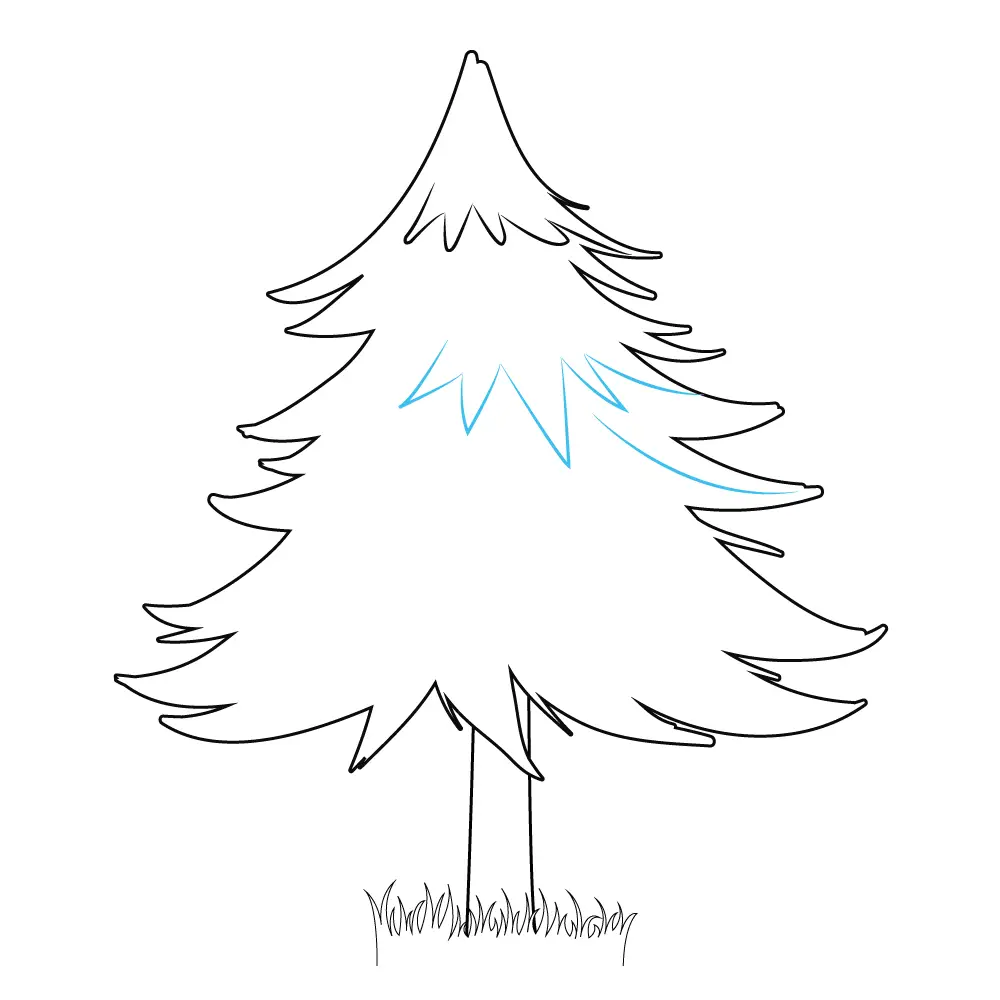How to Draw A Pine Tree Step by Step Step  8