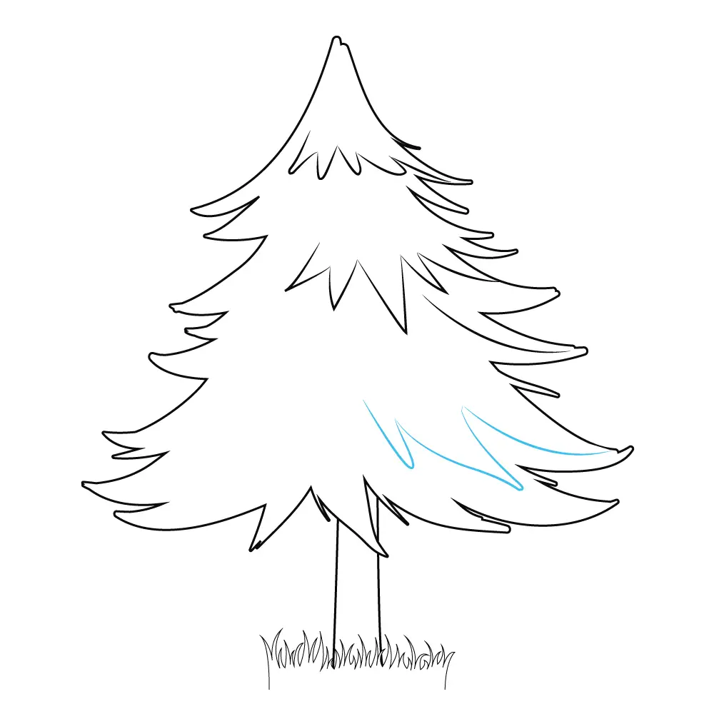 How to Draw A Pine Tree Step by Step Step  9
