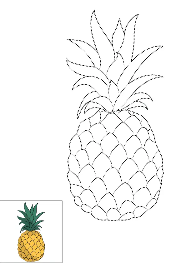 How to Draw A Pineapple Step by Step Printable Dotted