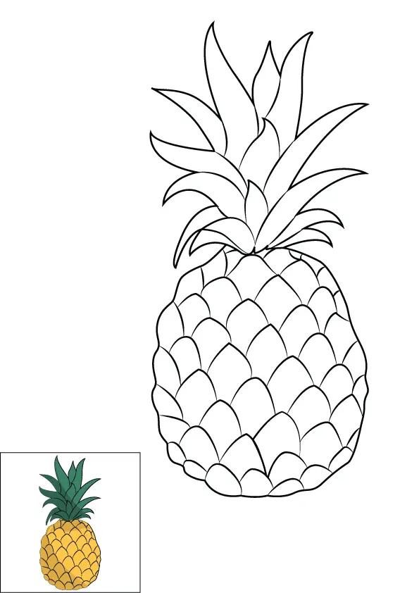 How to Draw A Pineapple Step by Step Printable Color