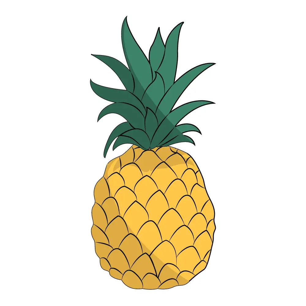 How to Draw A Pineapple Step by Step Step  12