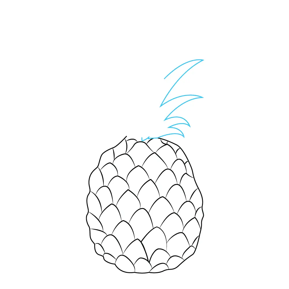 How to Draw A Pineapple Step by Step Step  6