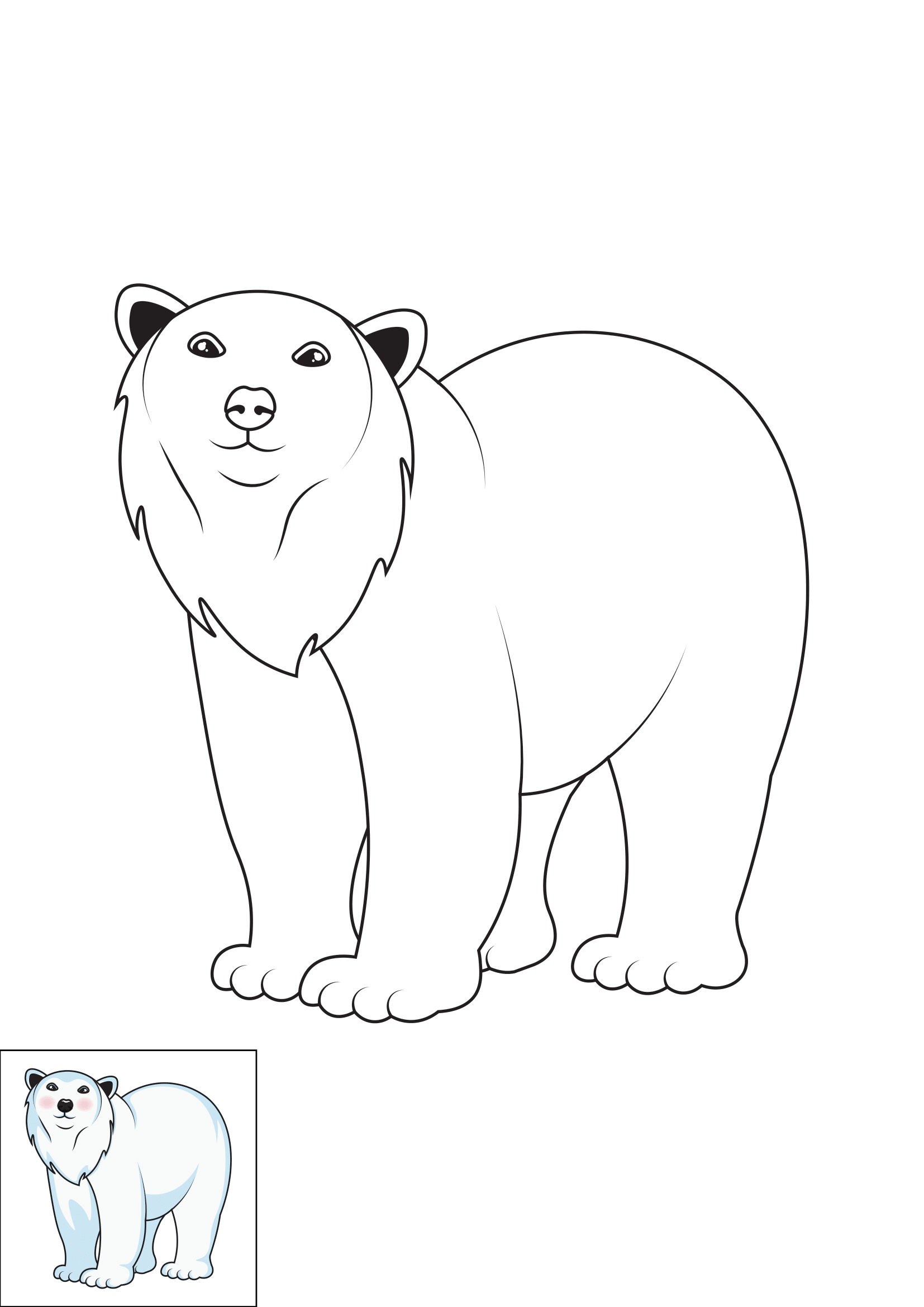 How to Draw A Polar Bear Step by Step Printable Color