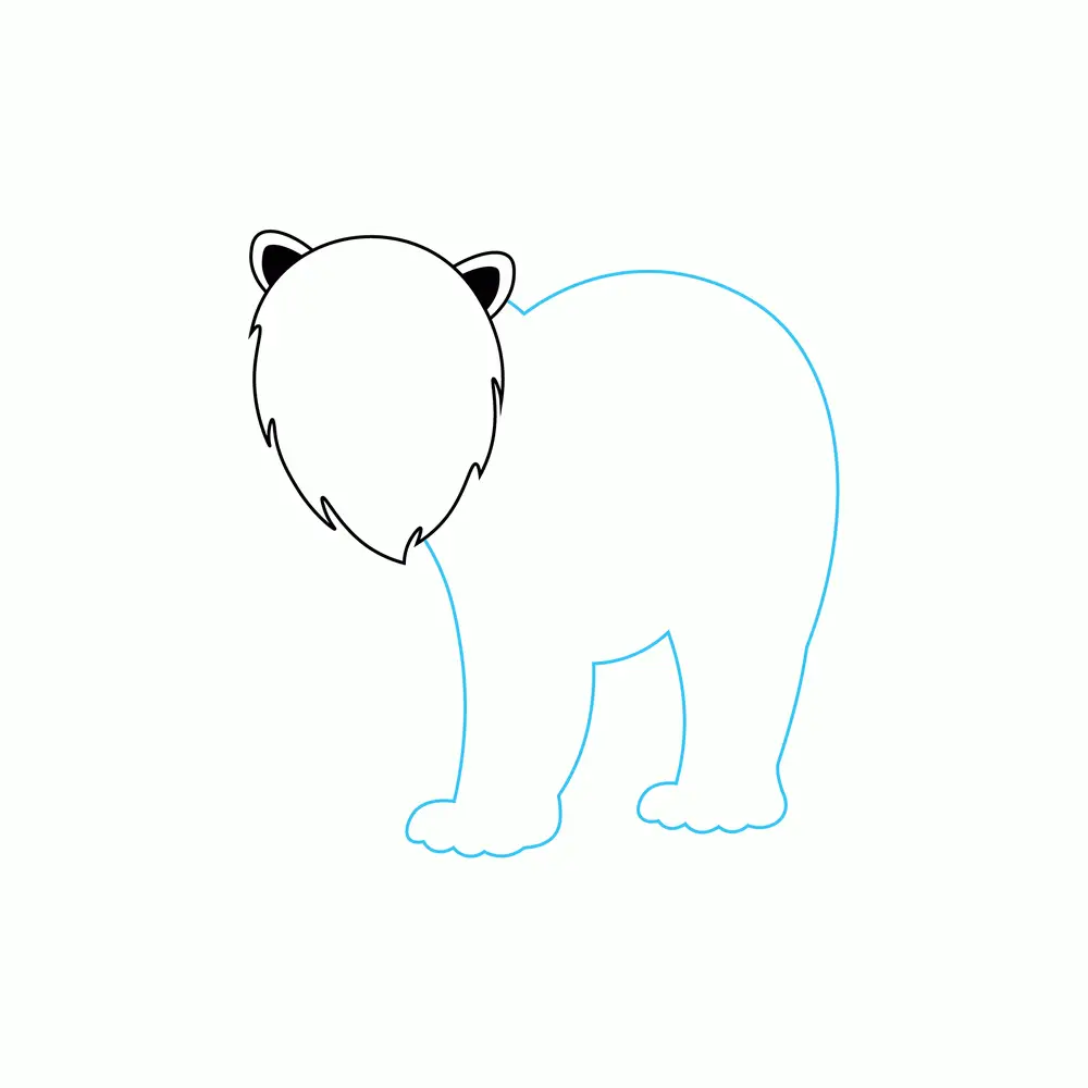 How to Draw A Polar Bear Step by Step Step  3