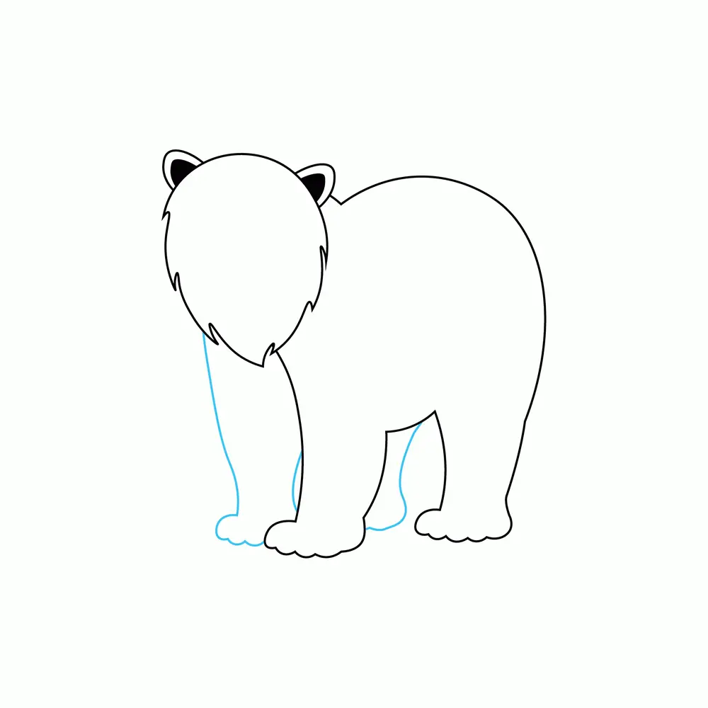 How to Draw A Polar Bear Step by Step Step  4