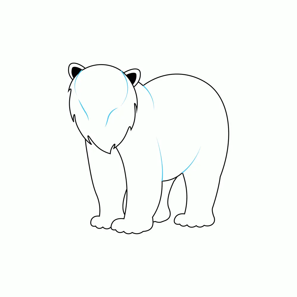 How to Draw A Polar Bear Step by Step Step  5