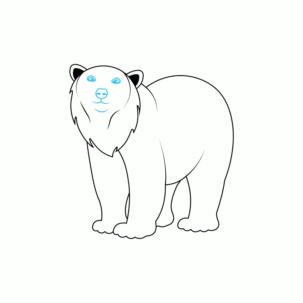 How to Draw A Polar Bear Step by Step Step  6