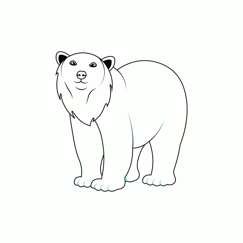 How to Draw A Polar Bear Step by Step Step  7