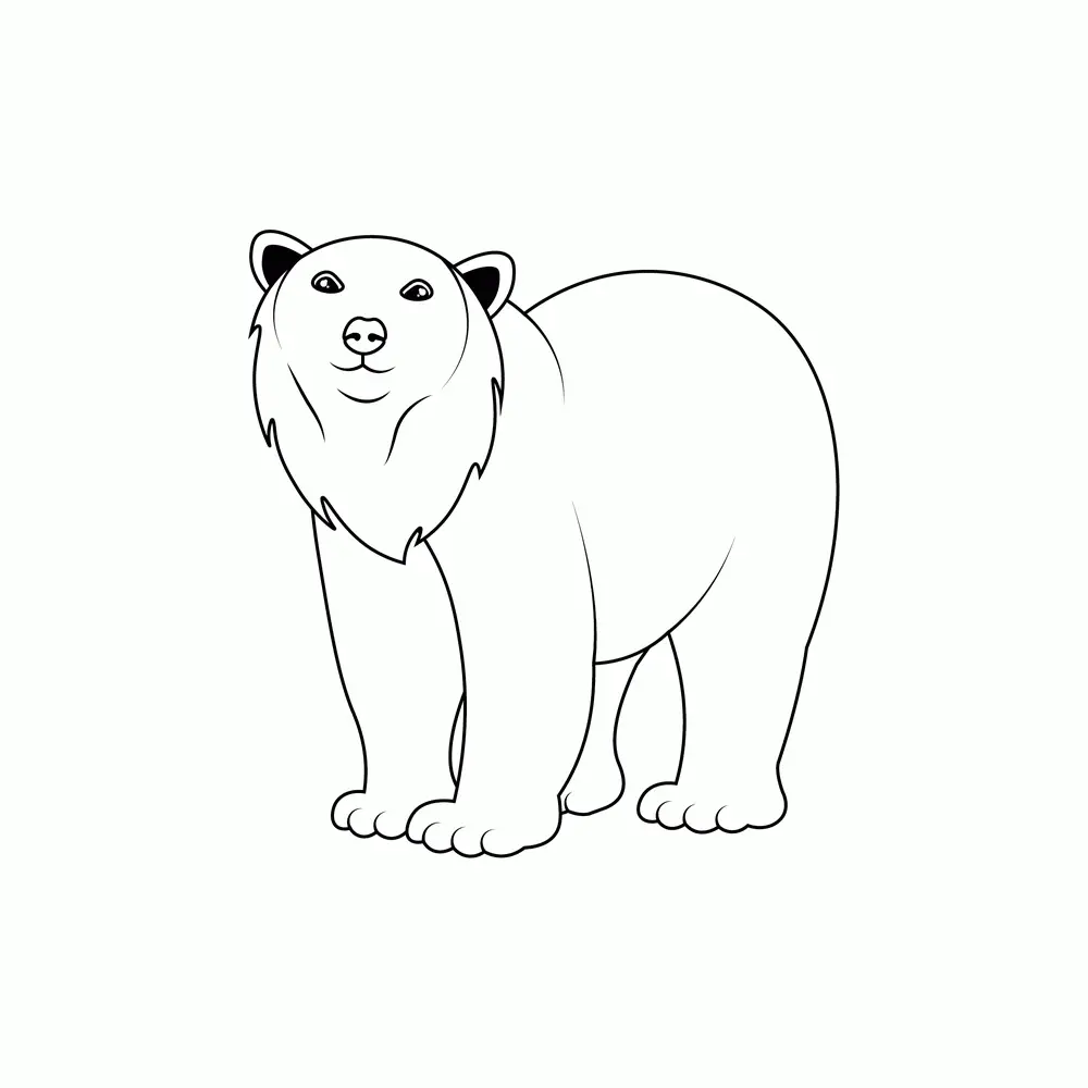 How to Draw A Polar Bear Step by Step Step  8