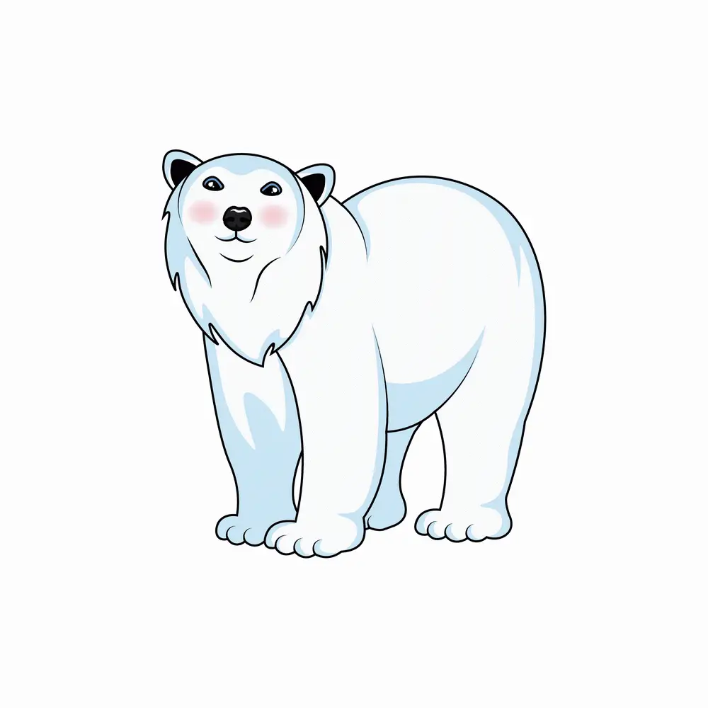 How to Draw A Polar Bear Step by Step Step  9