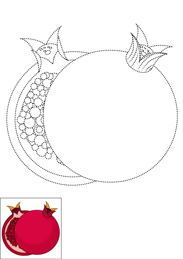 How to Draw A Pomegranate Step by Step Printable Dotted