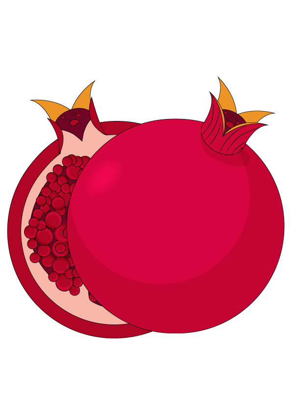 How to Draw A Pomegranate Step by Step Printable