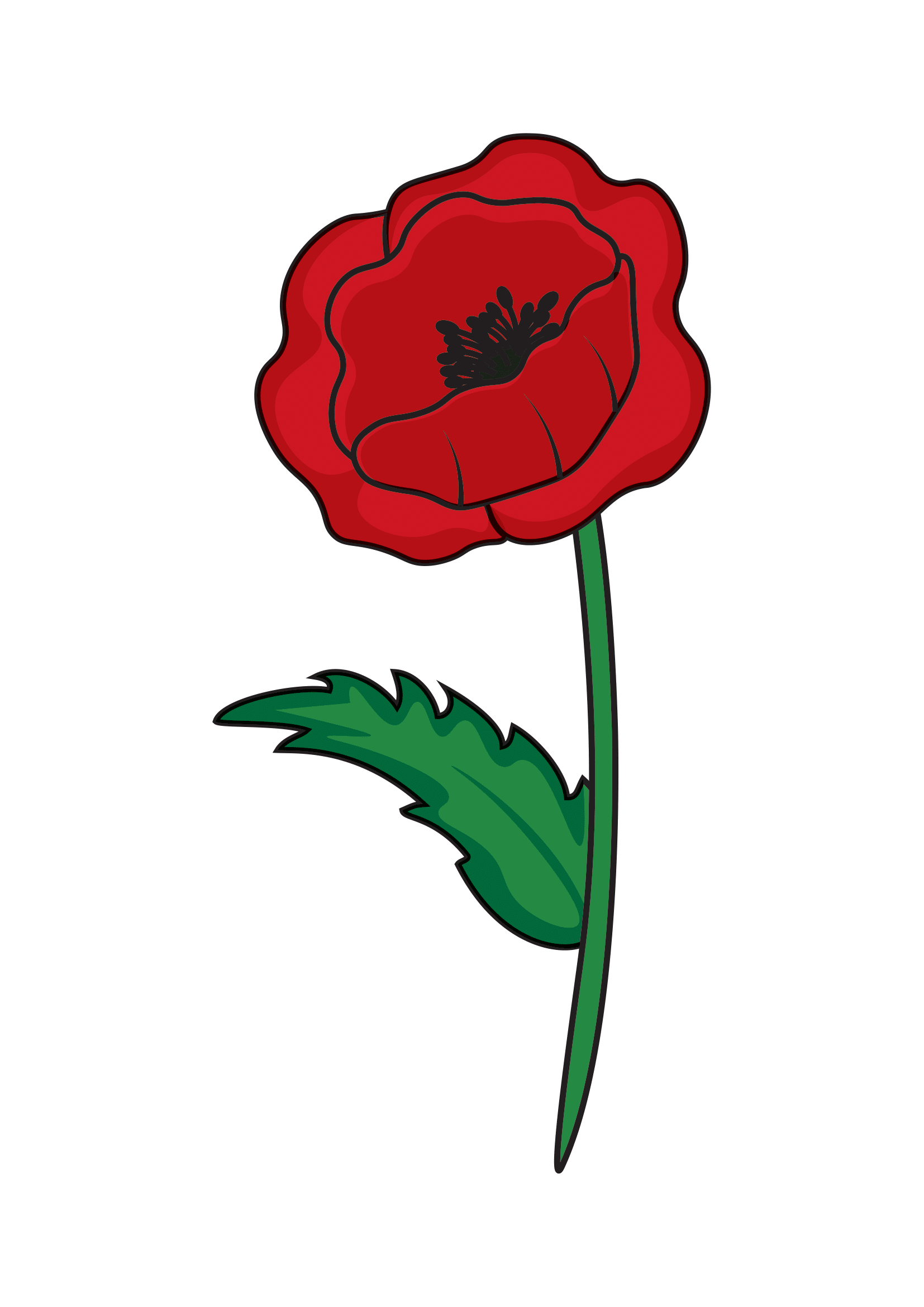 How to Draw A Poppy Step by Step Printable