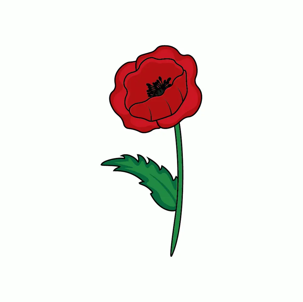 How to Draw A Poppy Step by Step Step  9