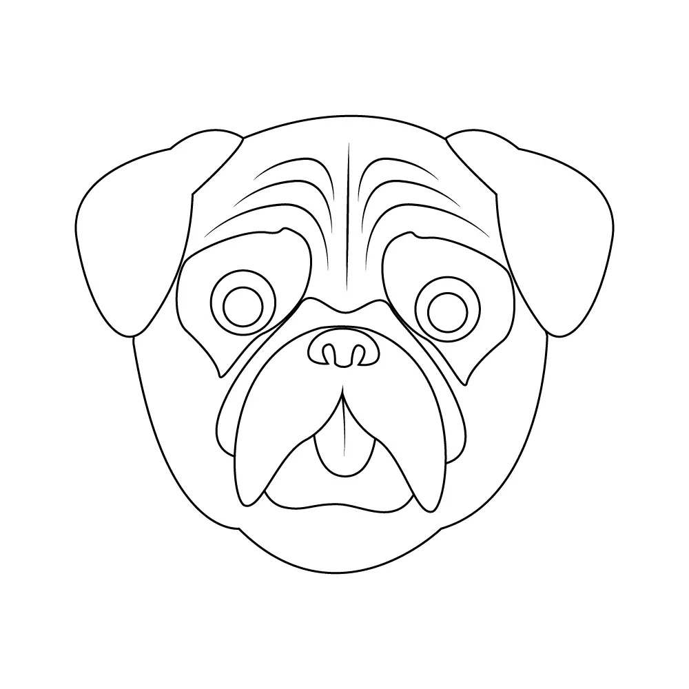 How to Draw A Pug Face Step by Step Step  10