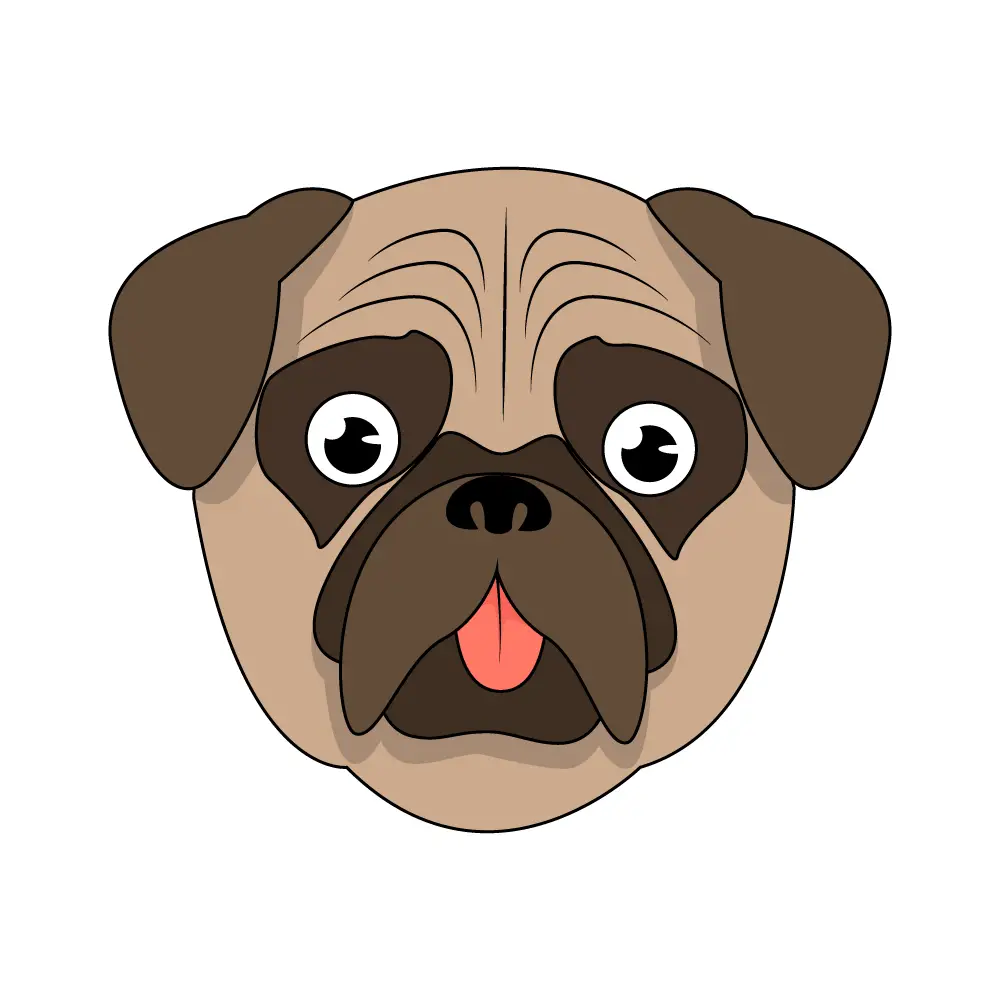 How to Draw A Pug Face Step by Step Step  11