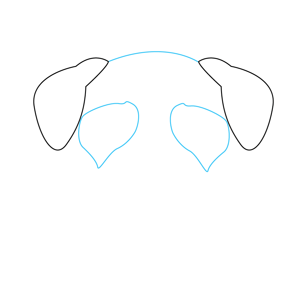 How to Draw A Pug Face Step by Step Step  3