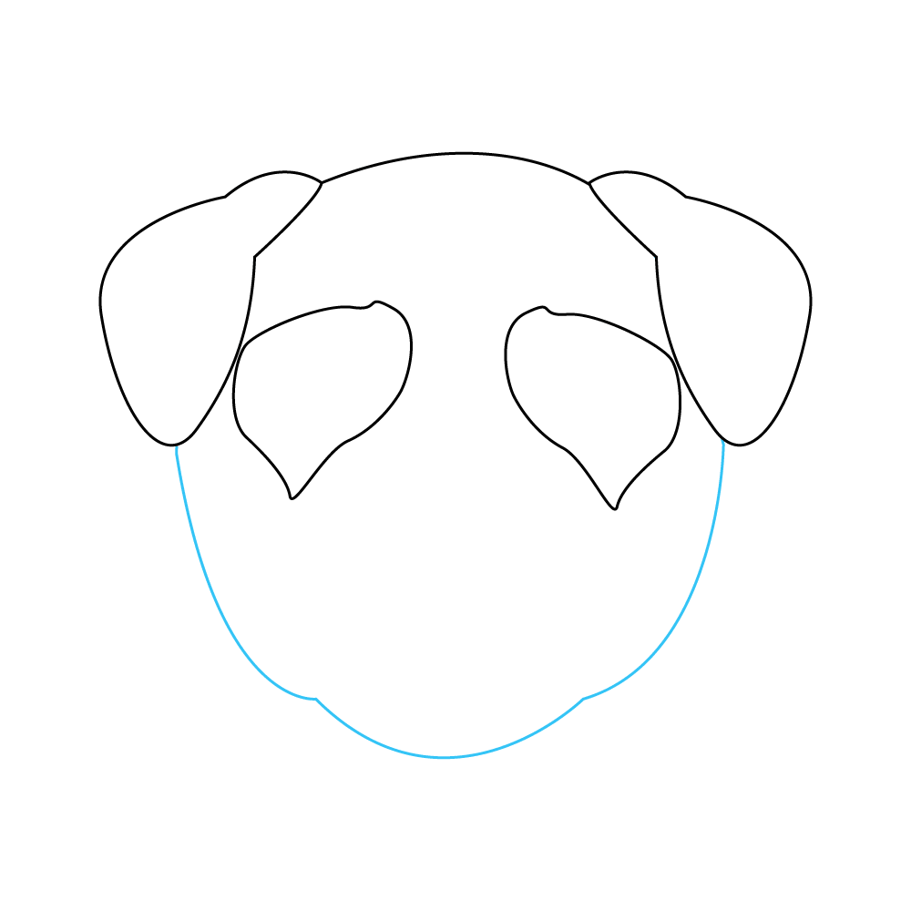 How to Draw A Pug Face Step by Step Step  4