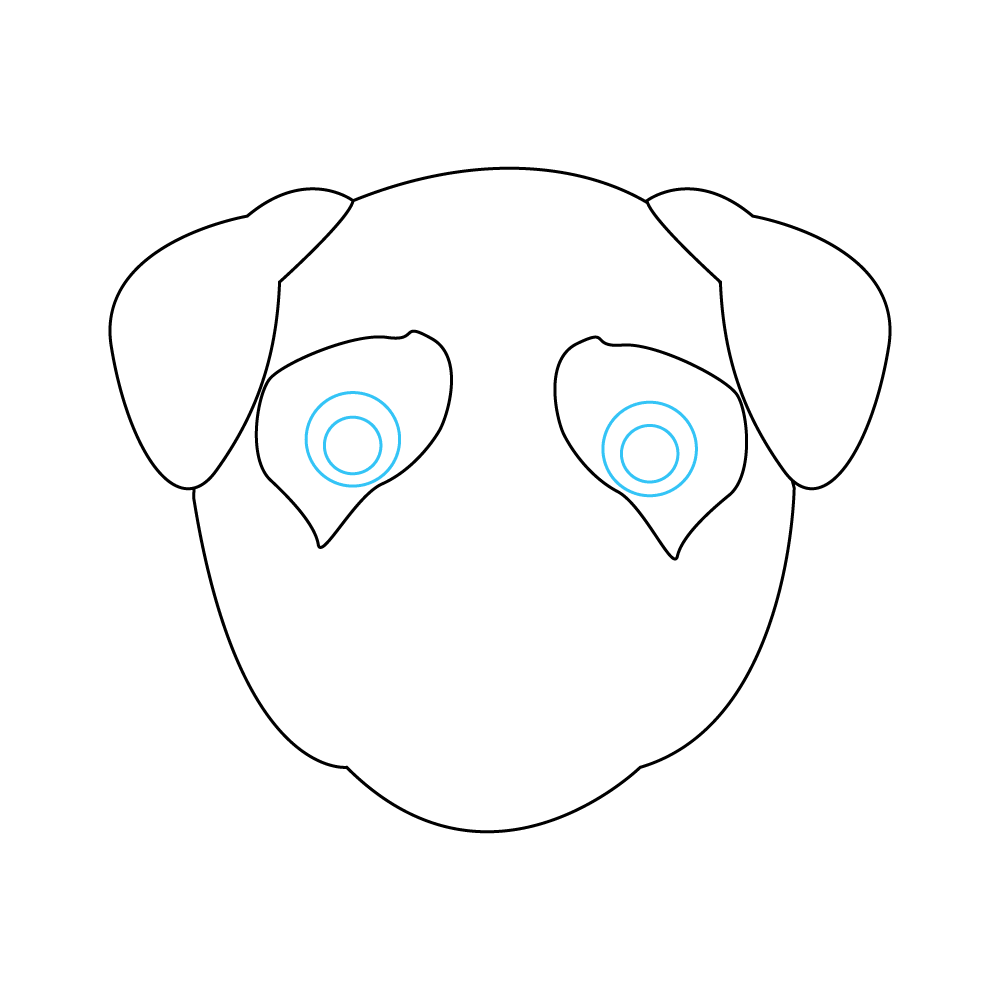 How to Draw A Pug Face Step by Step Step  5