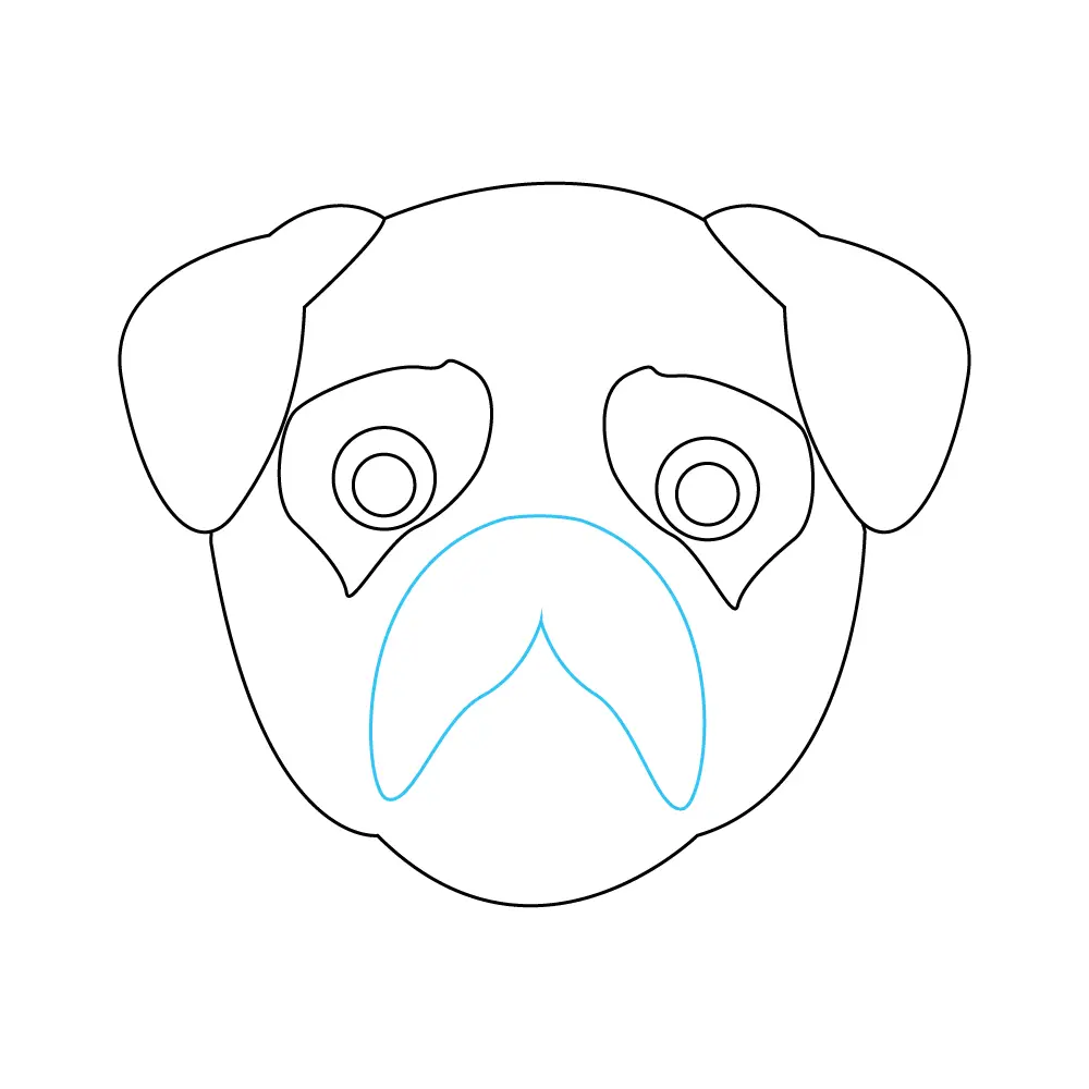 How to Draw A Pug Face Step by Step Step  6