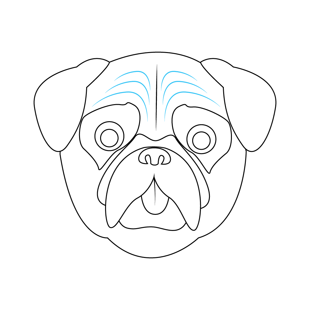 How to Draw A Pug Face Step by Step Step  9
