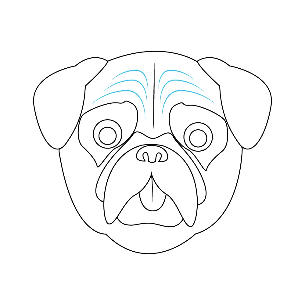 How to Draw A Pug Face Step by Step Step  9