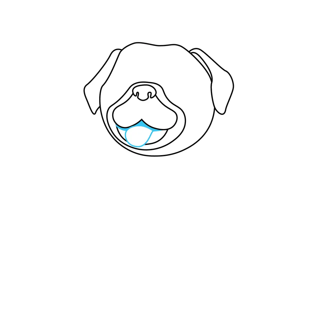 How to Draw A Pug Step by Step Step  4