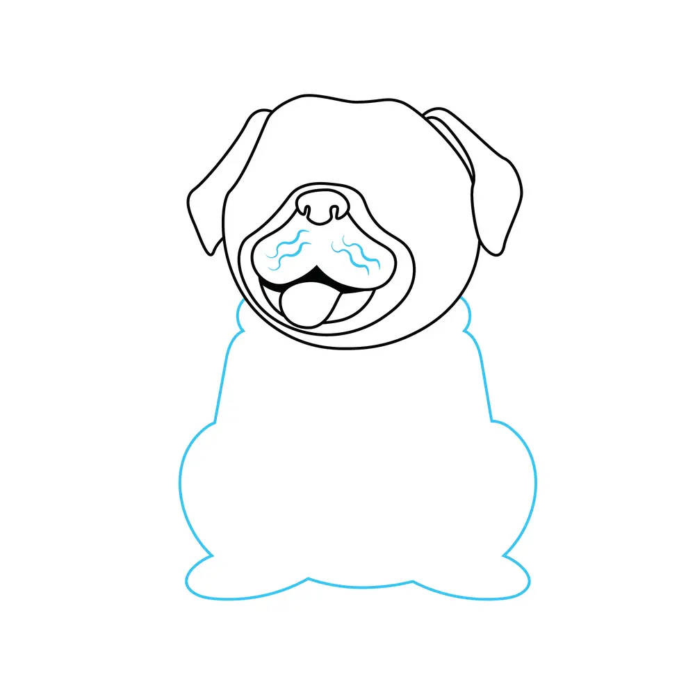 How to Draw A Pug Step by Step Step  5