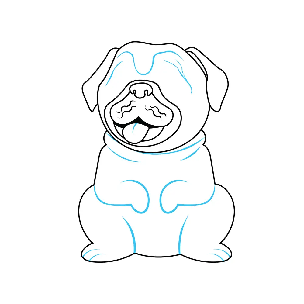 How to Draw A Pug Step by Step Step  6