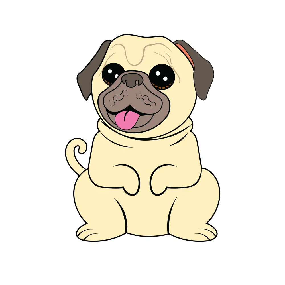 How to Draw A Pug Step by Step Step  9