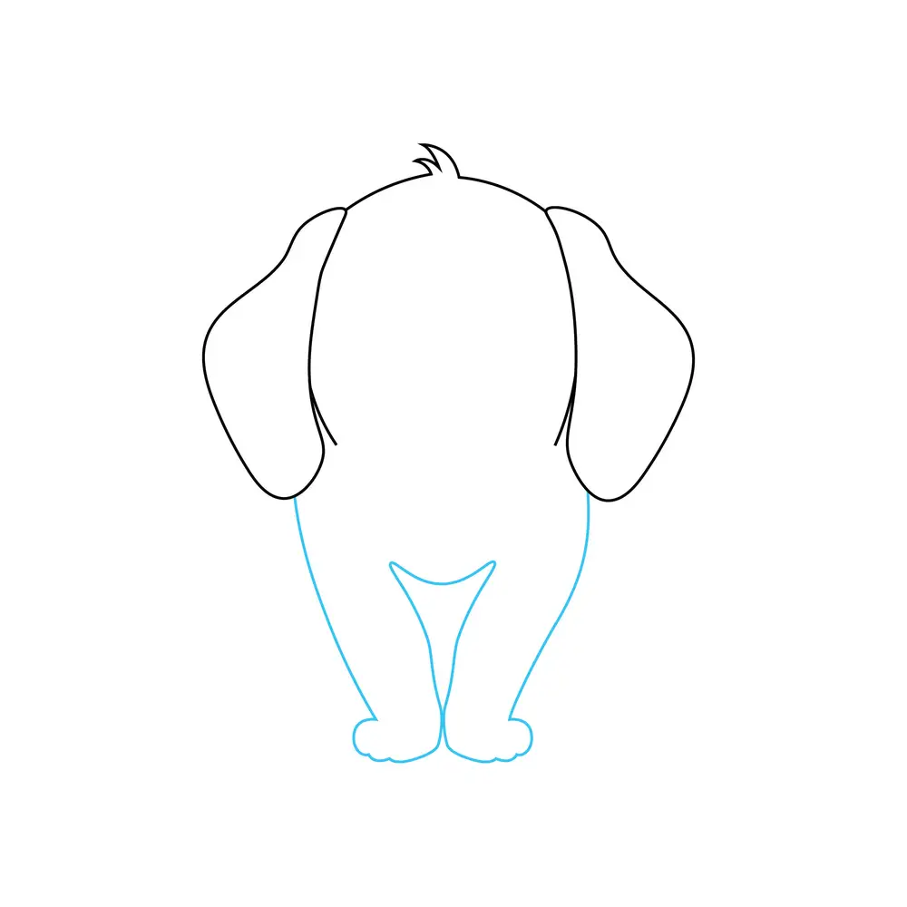 How to Draw A Puppy Light Colored Step by Step Step  3