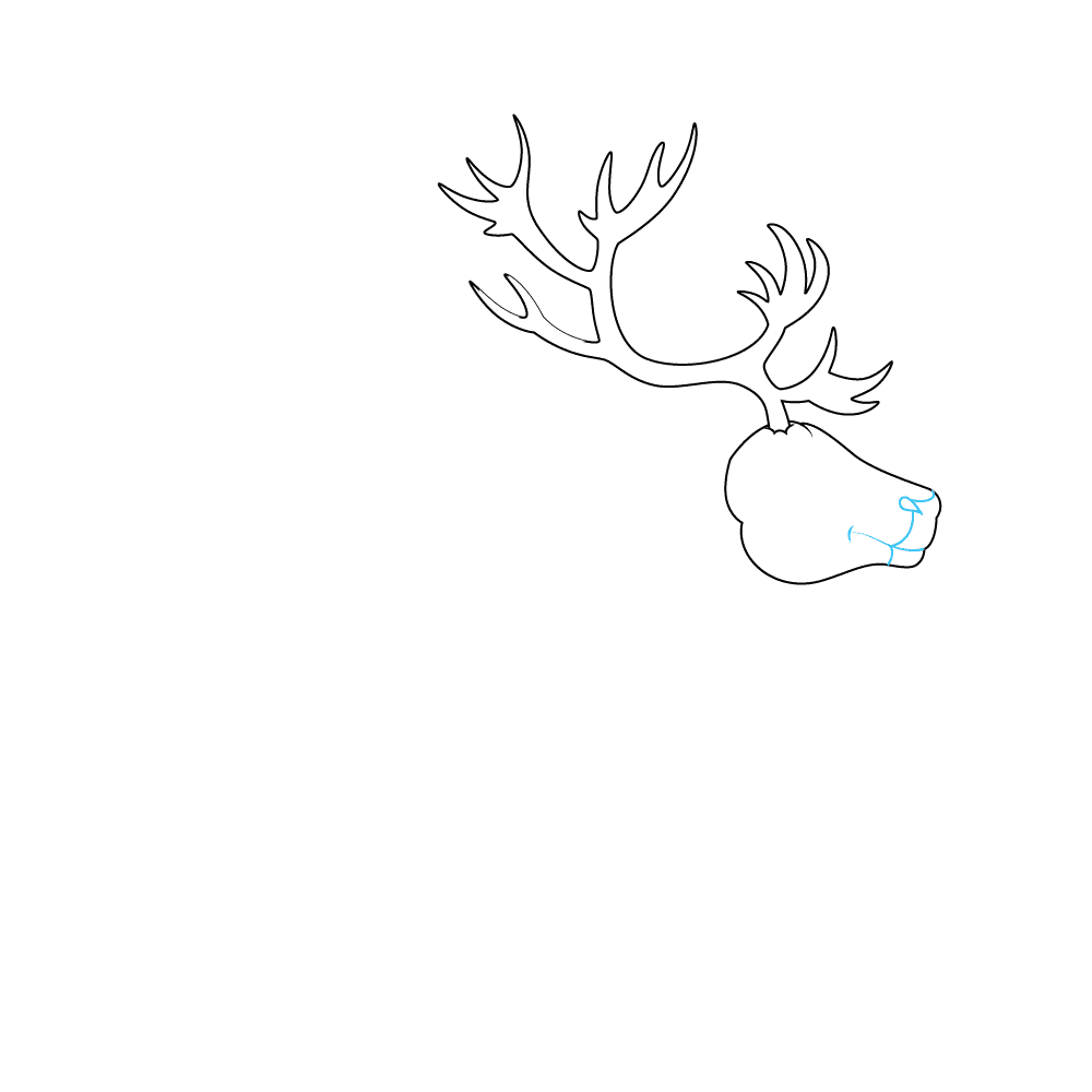 How to Draw A Reindeer Step by Step Step  3