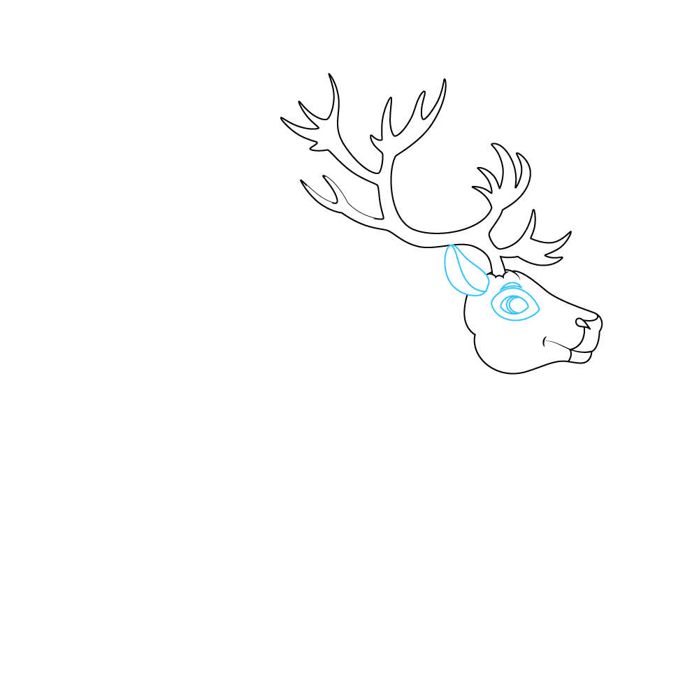 How to Draw A Reindeer Step by Step Step  4