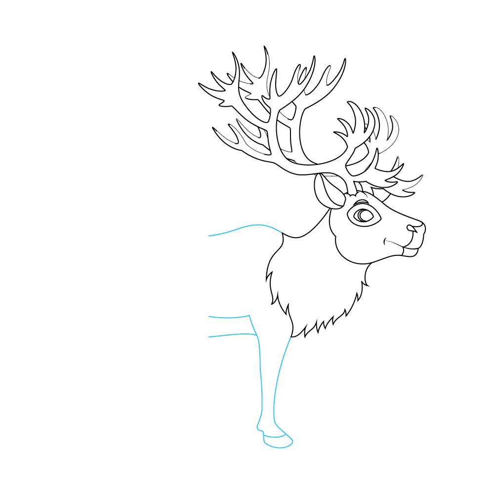 How to Draw A Reindeer Step by Step Step  7
