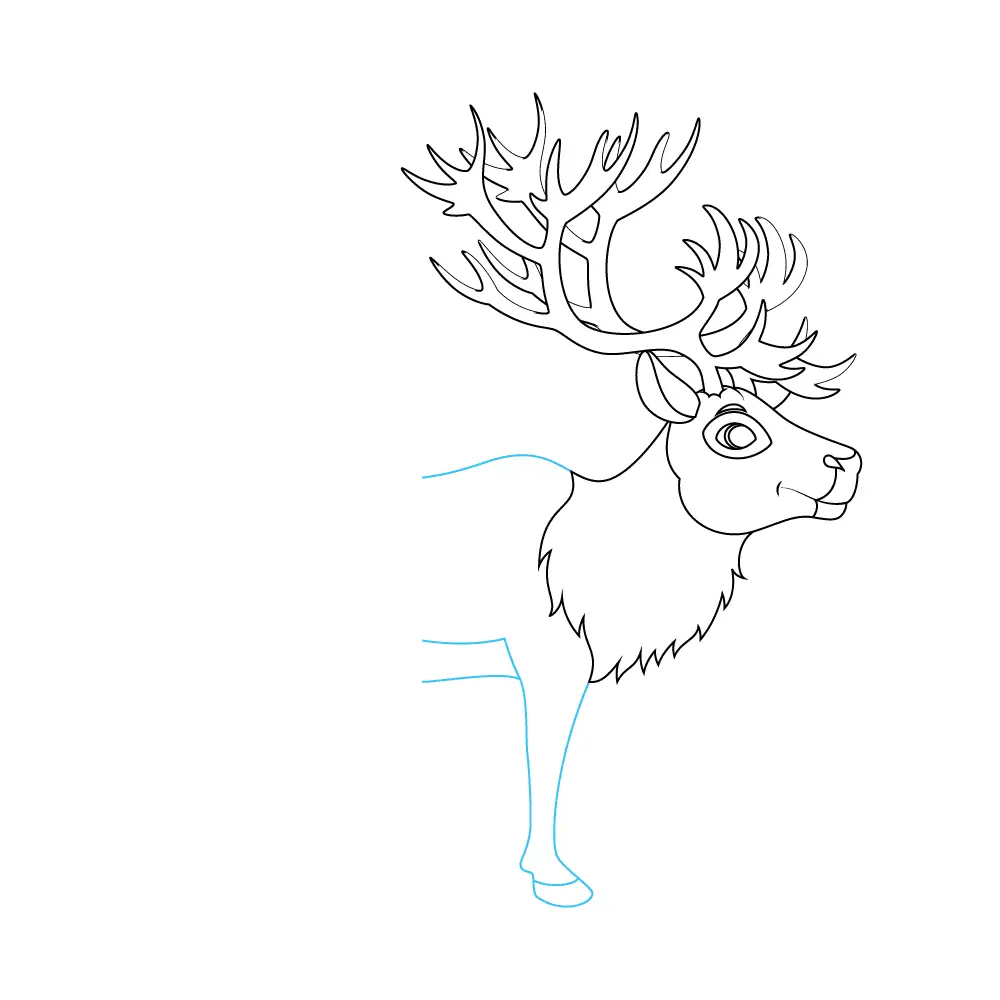 How to Draw A Reindeer Step by Step