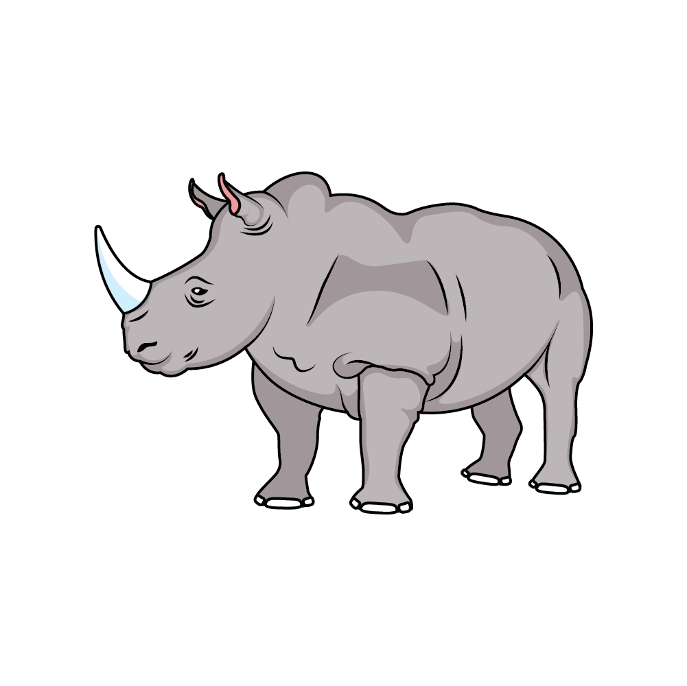How to Draw A Rhino Step by Step Step  10