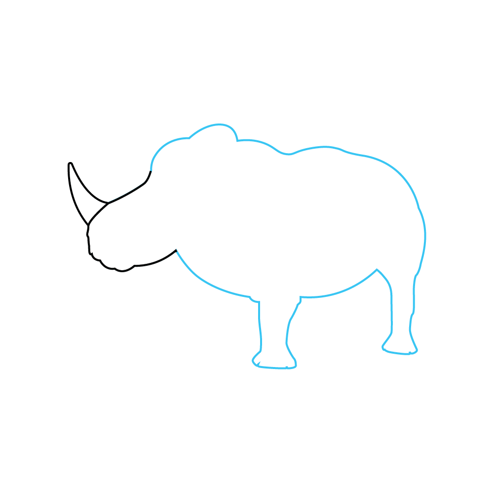 How to Draw A Rhino Step by Step Step  3