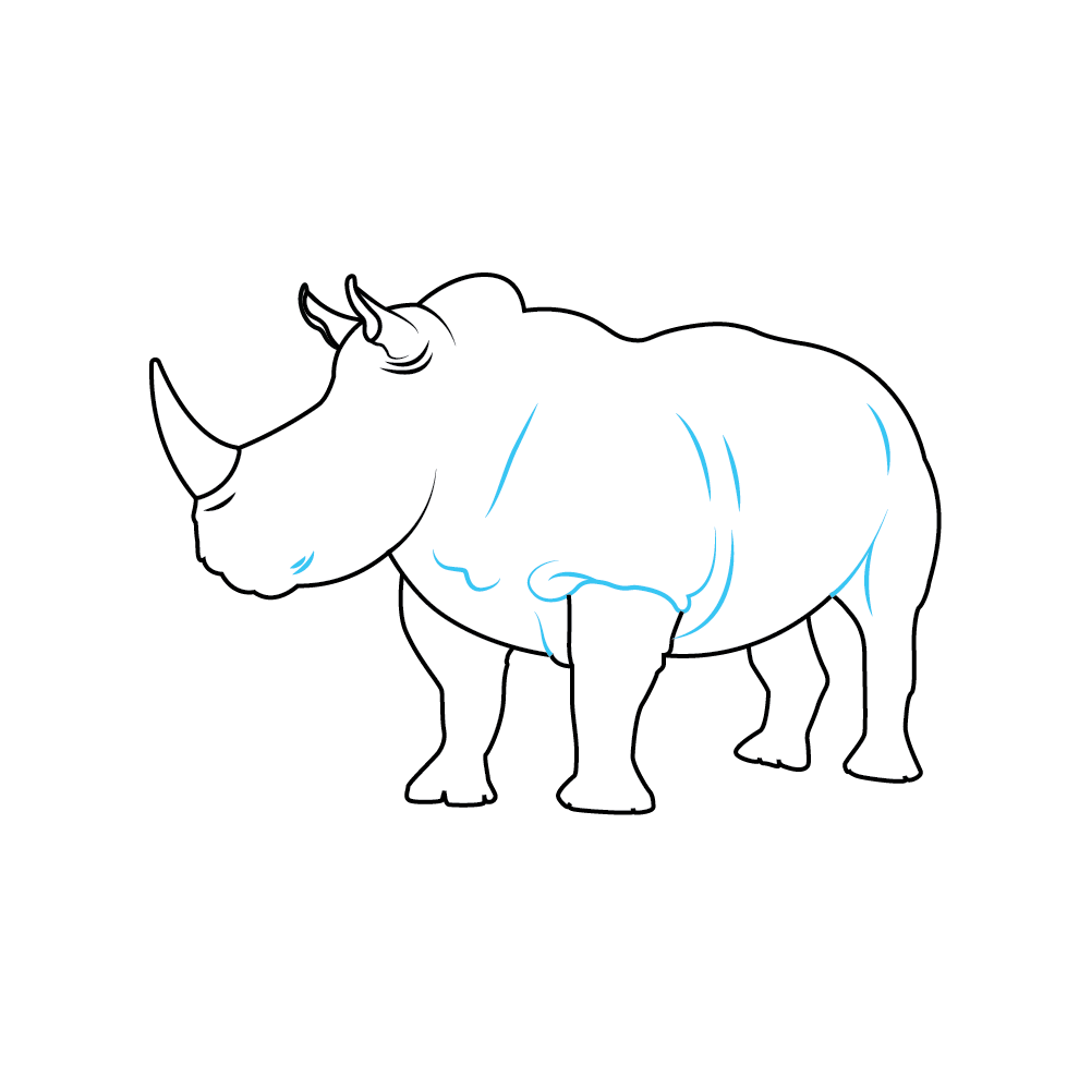 How to Draw A Rhino Step by Step Step  6
