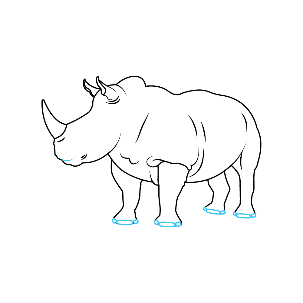 How to Draw A Rhino Step by Step Step  7