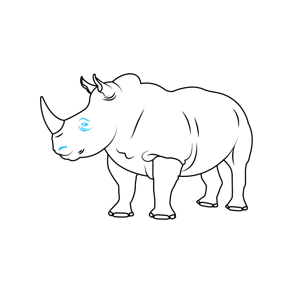 How to Draw A Rhino Step by Step Step  8