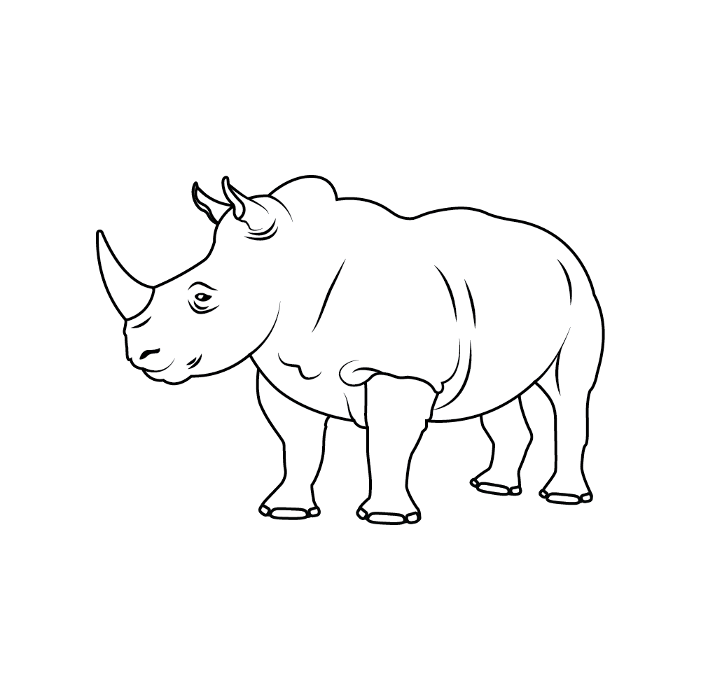 How to Draw A Rhino Step by Step Step  9