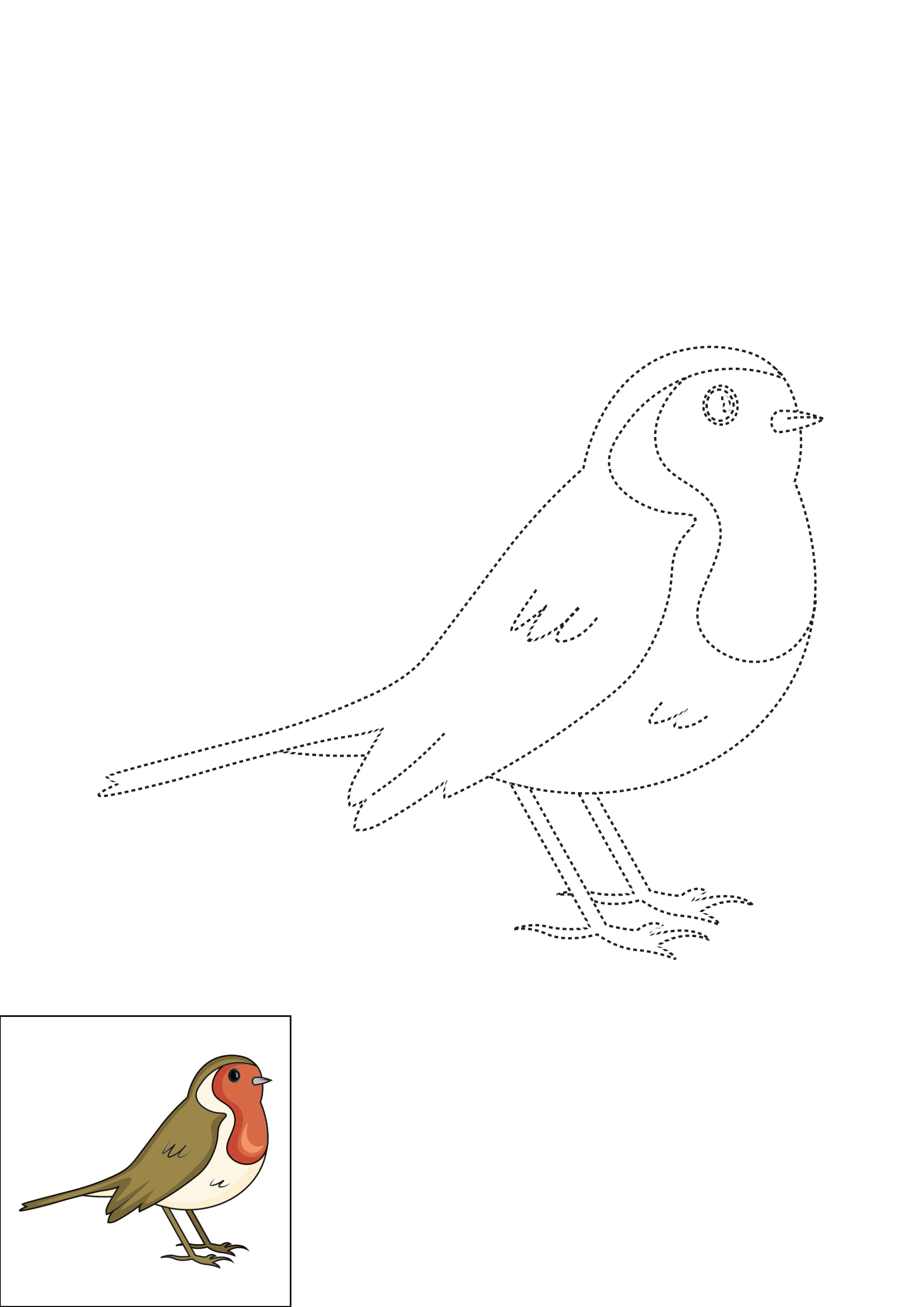 How to Draw A Robin Step by Step Printable Dotted