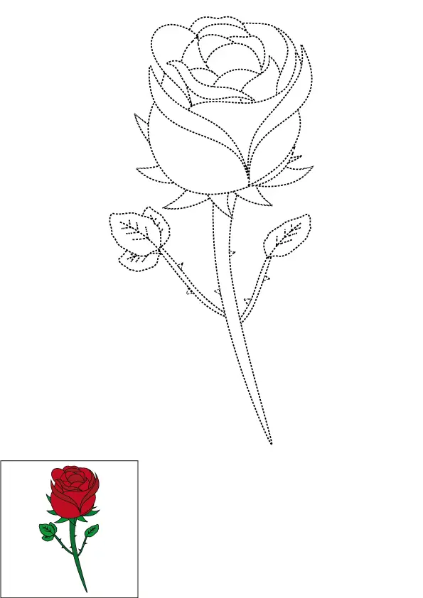 How to Draw A Rose Step by Step Printable Color