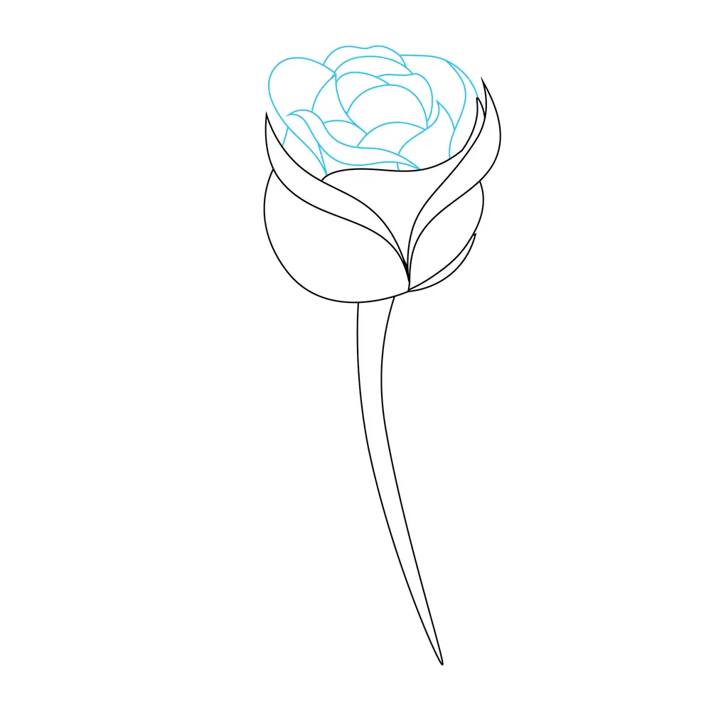 How to Draw A Rose Step by Step Step  3