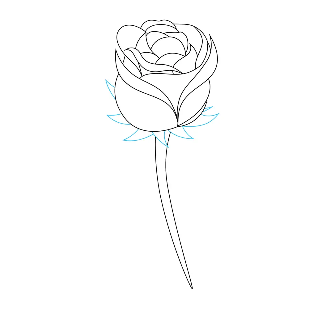 How to Draw A Rose Step by Step Step  4