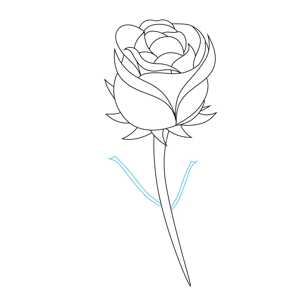 How to Draw A Rose Step by Step Step  5
