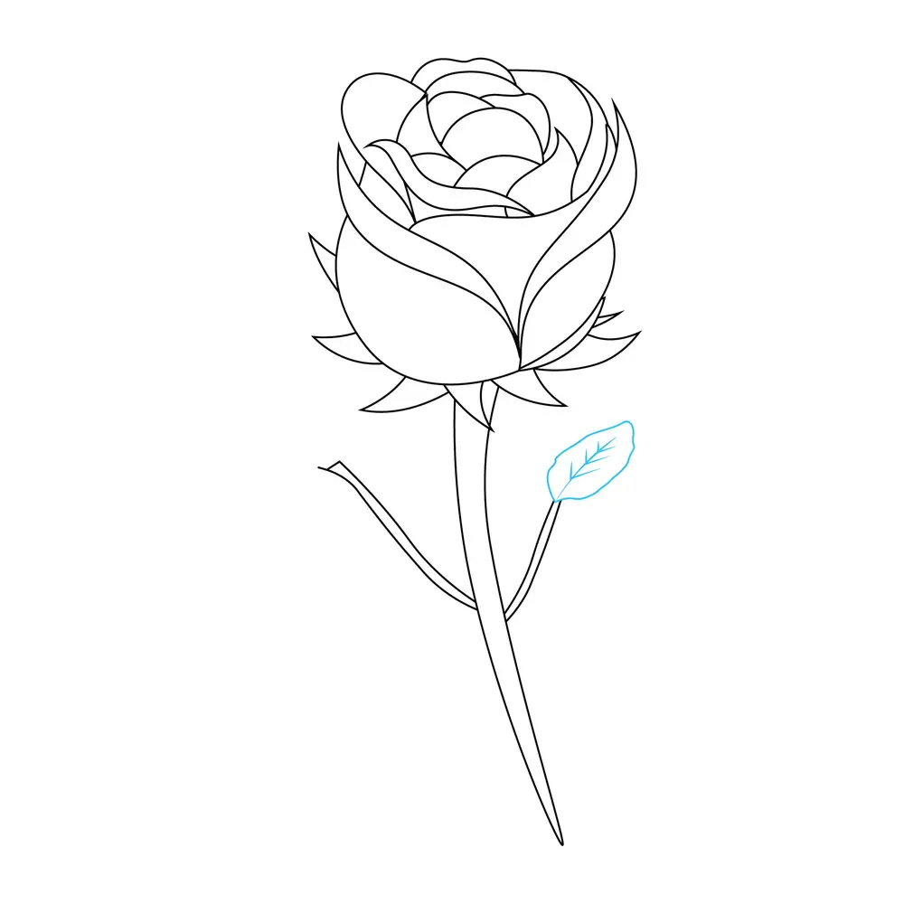 How to Draw A Rose Step by Step Step  6