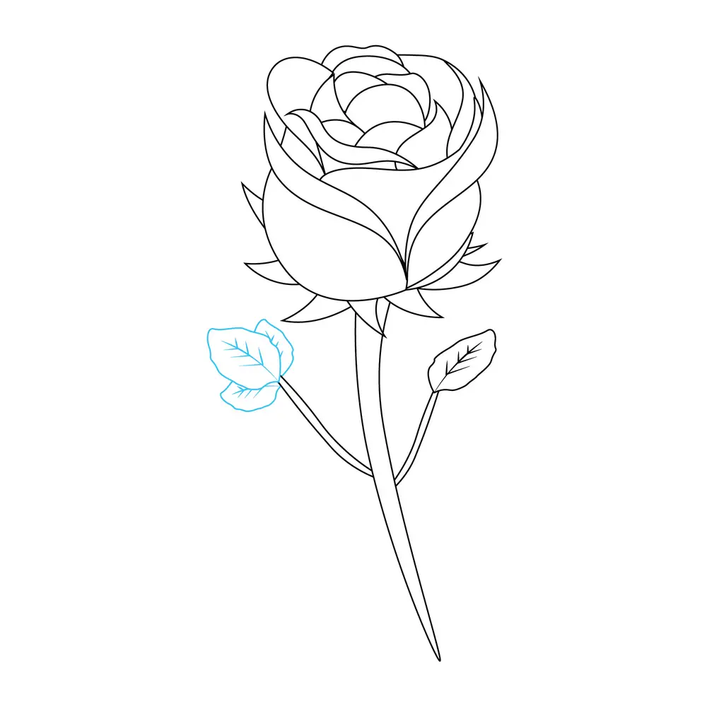 How to Draw A Rose Step by Step Step  7